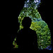 Mark Stastny Photo 12