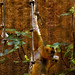 Michelle Gibbons Photo 8
