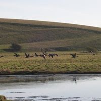 John Underhill Photo 45
