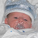 William Sheehan Photo 5
