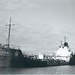 Samuel Mitchell Photo 14
