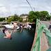 Neil Grossman Photo 20