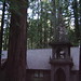 Dorothy Meeks Photo 23