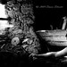 Manuel Valerio Photo 6