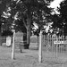 Henry Wolfe Photo 10