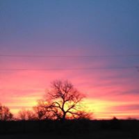 Gayle Joyner Photo 3