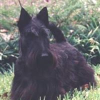 Gail Gore Photo 7