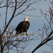 Randall Wagner Photo 14
