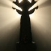Matt Graver Photo 20