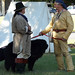 Clark Dotson Photo 6