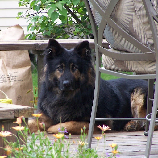 Jennifer Gallant Photo 43