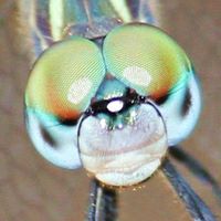 Marcia Burgan Photo 4