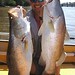 George Horvath Photo 16