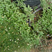 Barbara Minter Photo 14