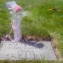 Carole Stevens Photo 42