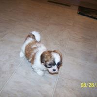 Dianne Erickson Photo 30