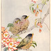 Janet Robins Photo 14