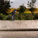 Jon Trujillo Photo 11