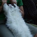 Marsha Anderson Photo 18