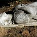 Douglas Marchand Photo 7