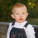 Andrew Gibbs Photo 41