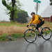 Nancy Guth Photo 5