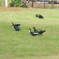 Karen Mcclure Photo 18