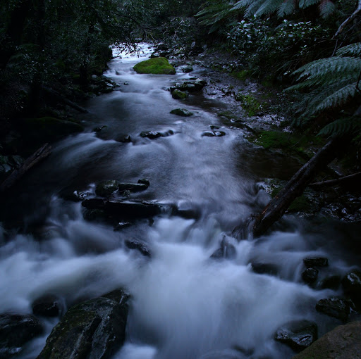 Matthew Rowe Photo 42