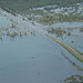 John Harney Photo 46