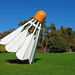 Robert Merrifield Photo 14