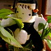 Miriam Roberson Photo 12