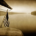 Dawn Reid Photo 11