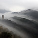 Qiang Chen Photo 28