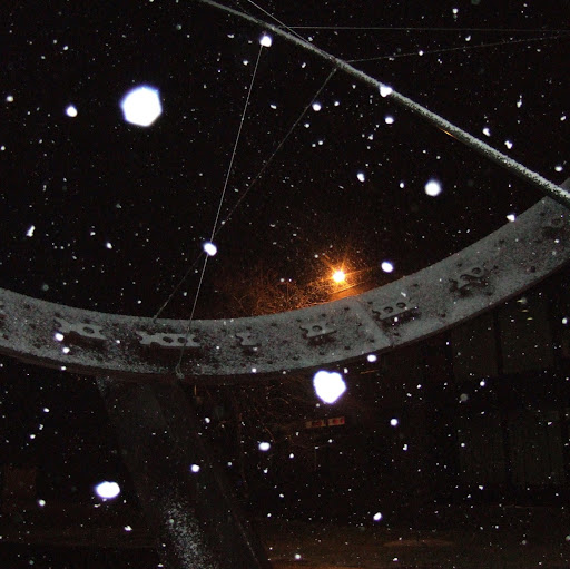 Andrew Field Photo 22