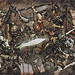 Wayne Reynolds Photo 31