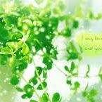 Lien Duong Photo 30