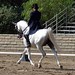Christine Prine Photo 10