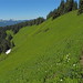Cynthia Scales Photo 20