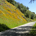 Joan Blackmon Photo 12