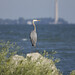 Perry Kelley Photo 9