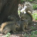 Alvin Stacy Photo 7