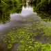 James Parks Photo 12