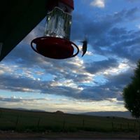 Laurie Heath Photo 21