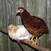 Wendy Eggers Photo 15