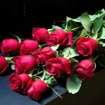 Safdar Hussain Photo 40