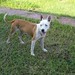 Tammy Foster Photo 14