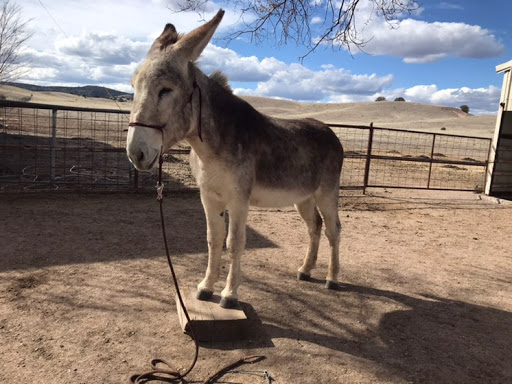 Minna Sellers Photo 2