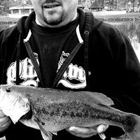 Scott Colletti Photo 4