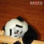 Susan Bruns Photo 25