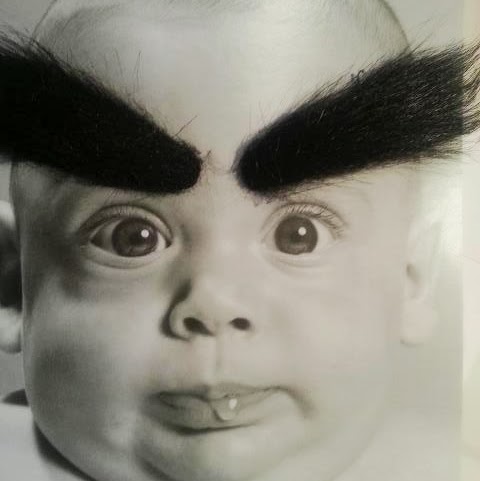 Timothy Meagher Photo 9